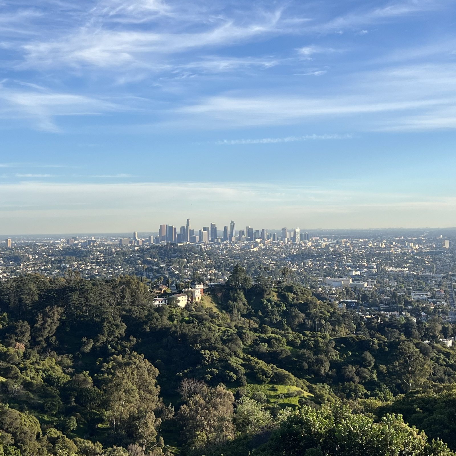 Downtown Los Angeles seen from the hills of Griffith Park